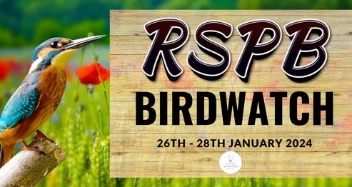 RSPB Birdwatch 2024 - Little Whispers