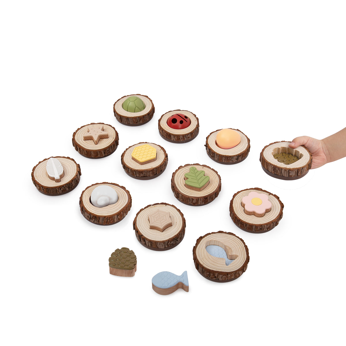 Guidecraft Nature Feel & Find 24 pc set