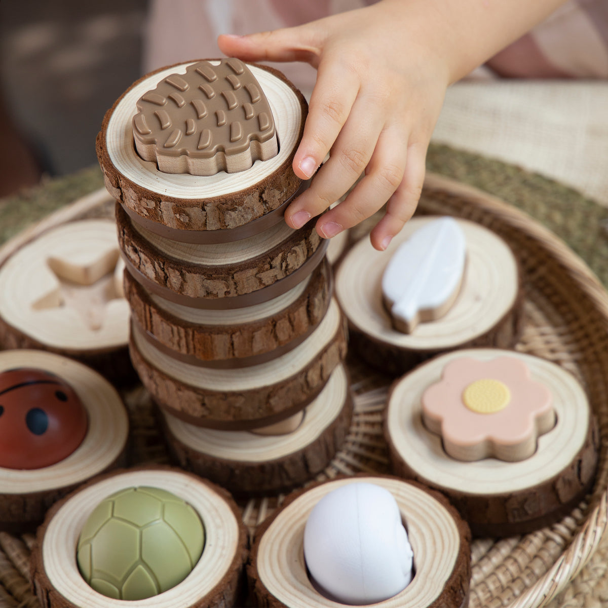 Guidecraft Nature Feel & Find 24 pc set