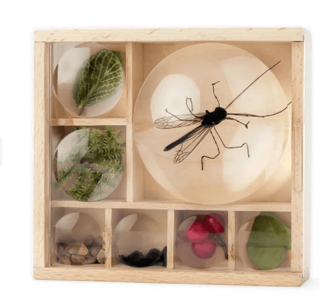 Butterfly and Bug Themed Set - Little Whispers