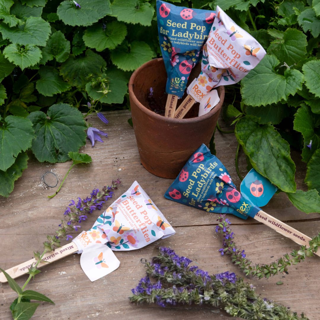 Wildflower Seed Popsicles - Wildflower Seed Pops - Little Whispers