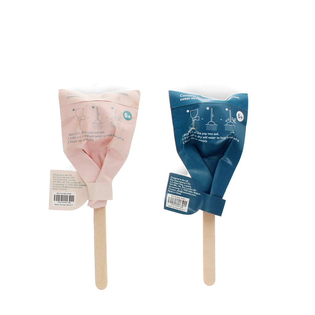 Wildflower Seed Popsicles - Wildflower Seed Pops