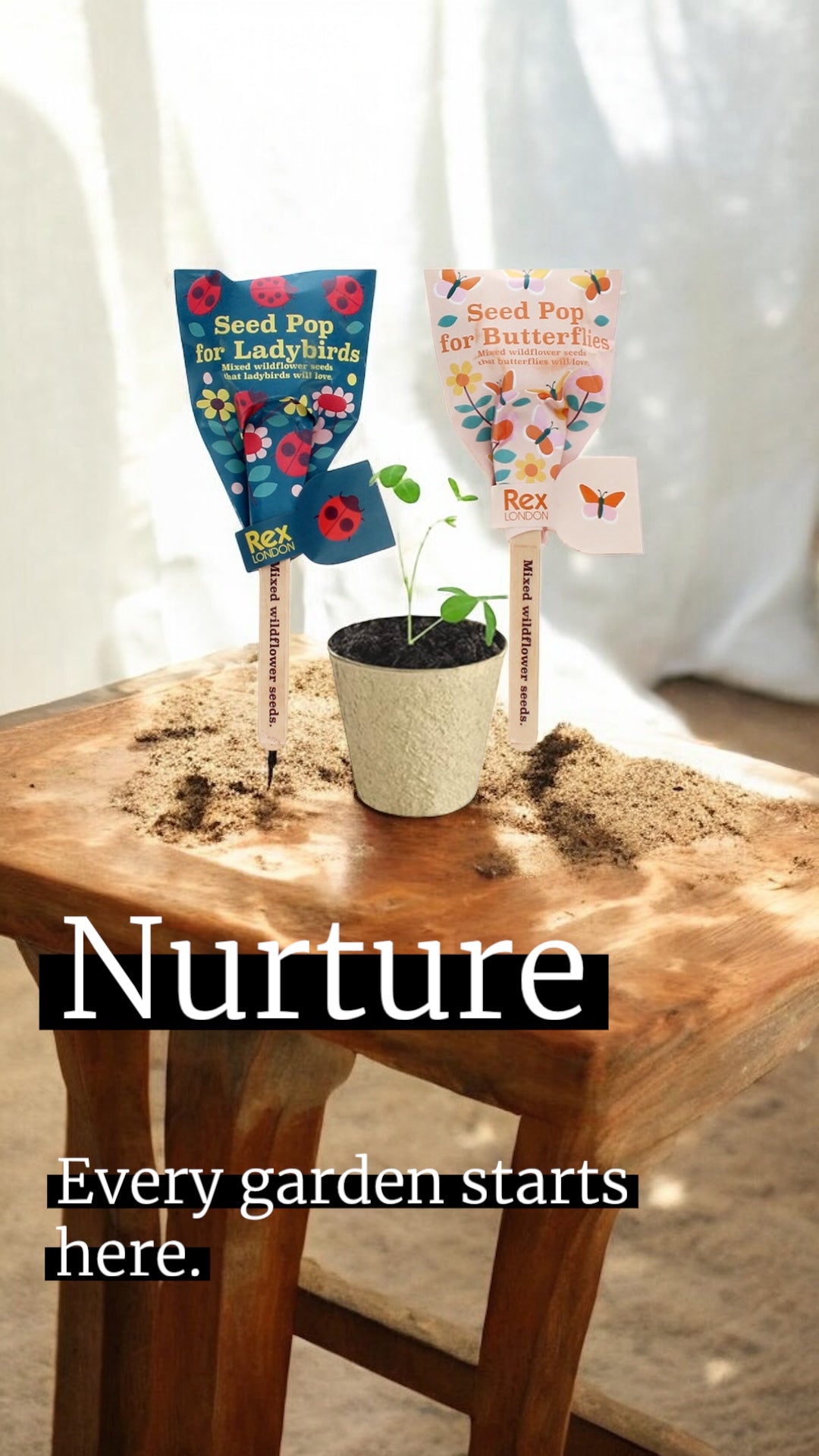 Seed Pops Party Favour Gift - Little Whispers