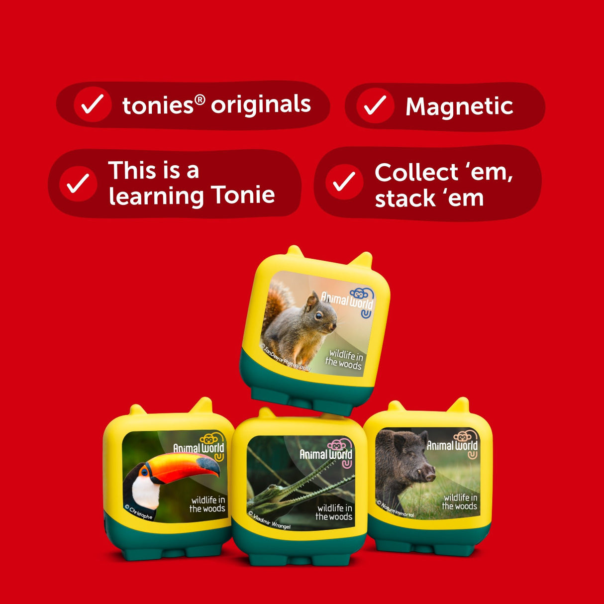 PRE - ORDER: Pocket Tonie Animal World: Wildlife in the Woods Audio Clever Pocket Tonie Set - Little Whispers