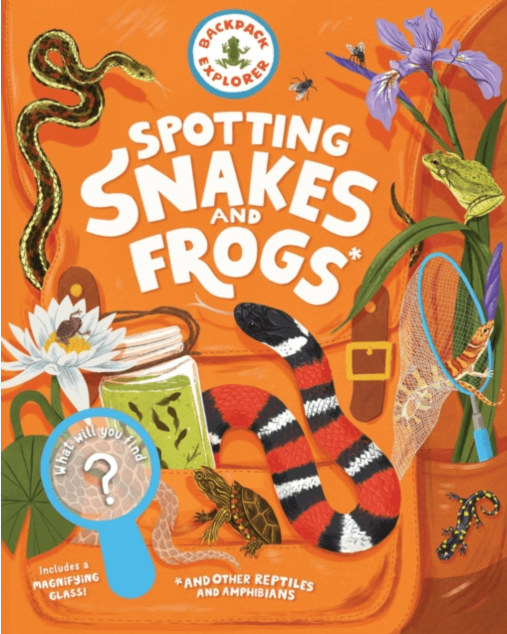 Spotting Snakes and Frogs, and Other Reptiles and Amphibians : What Will You Find? - Little Whispers