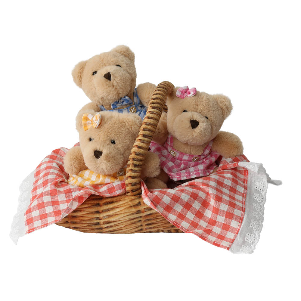 Three teddy bears in a basket with a red and white checkered cloth on a white background