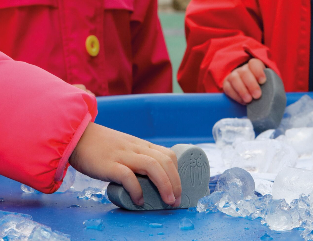 Yellow Door Small World Polar Kit