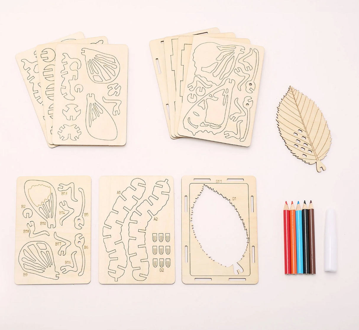 Apples To Pears Gift In A Tin Life Cycle of A Butterfly