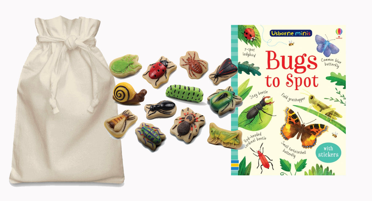 Bugs Story Sack with Yellow Door Bug Stones