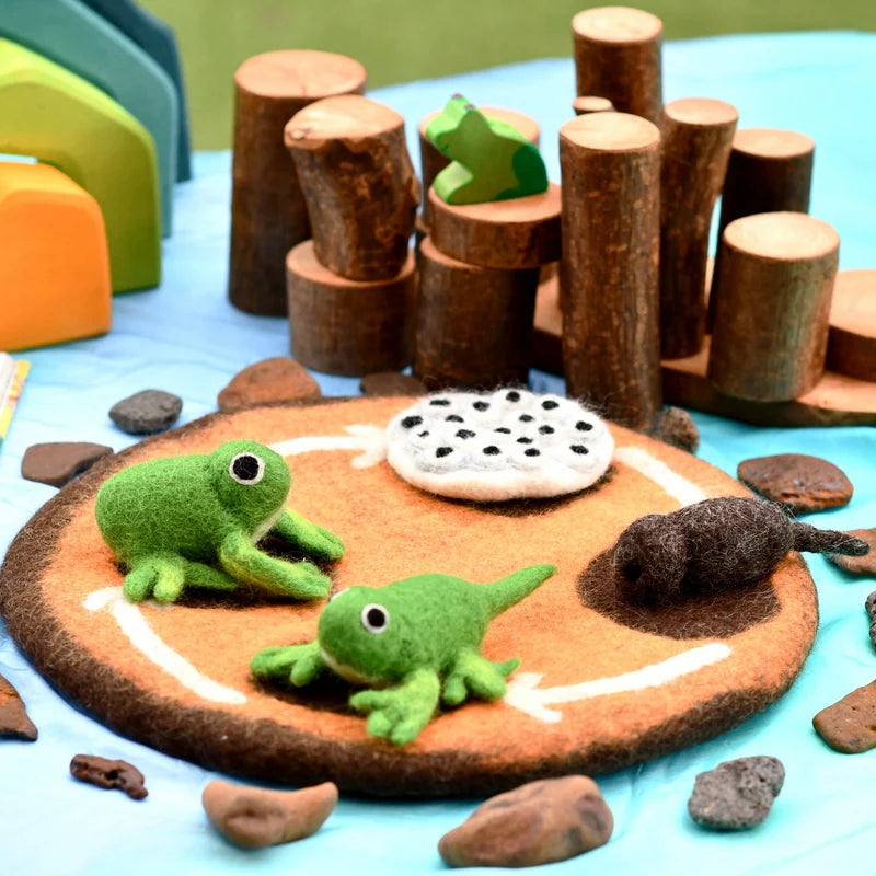 Tara's Treasures Felt Lifecycle of a Frog