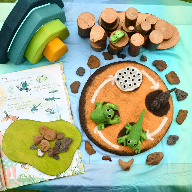 Tara's Treasures Felt Lifecycle of a Frog