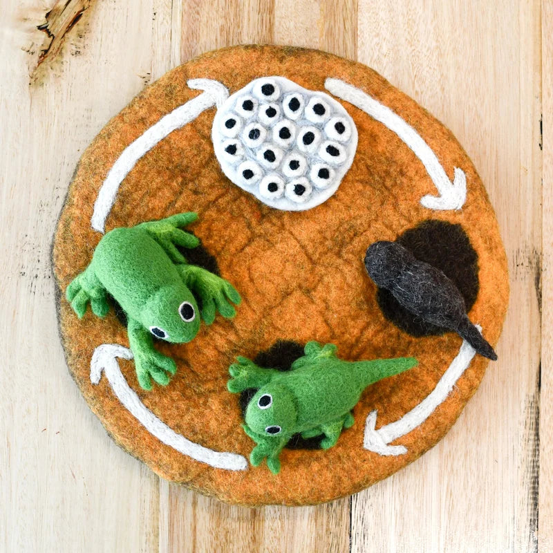 Tara's Treasures Felt Lifecycle of a Frog