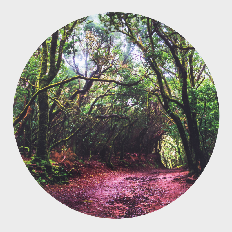 Discovery Glow Low Table + 3 Discovery Play Mats (Direct Shipping)