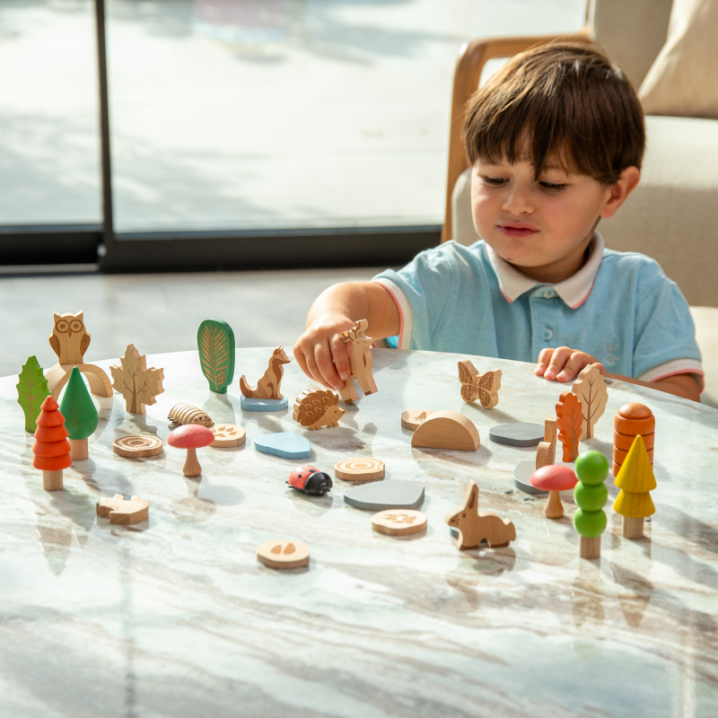 Woodland Trail Set - Pk37