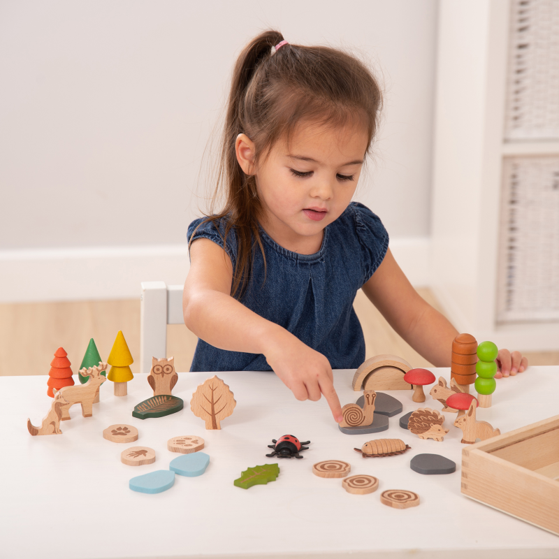 Woodland Trail Set - Pk37