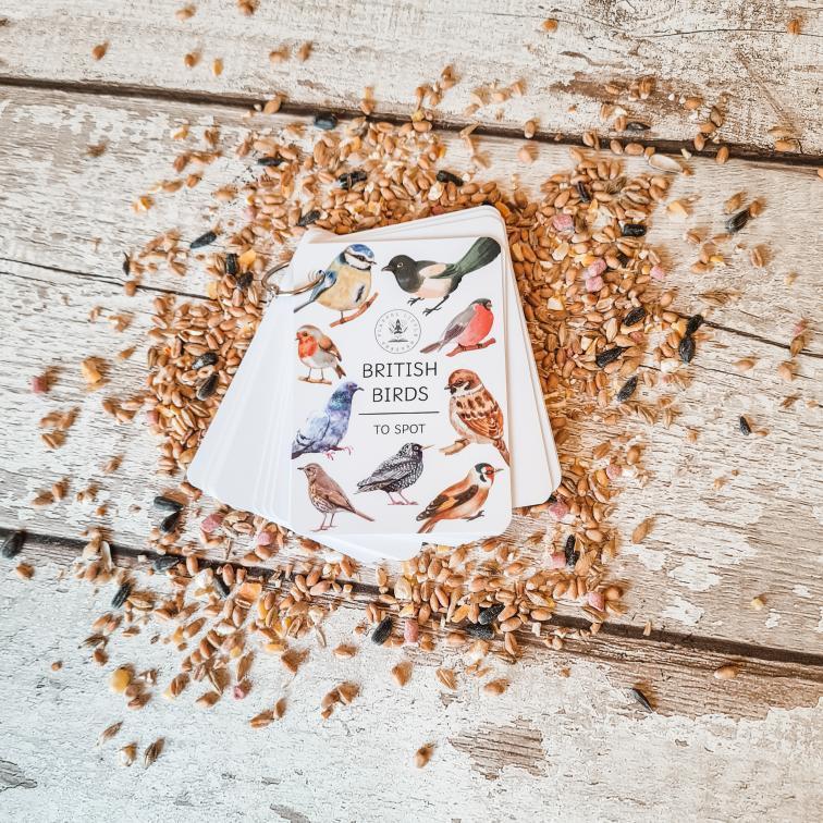 British Birds flashcards - Little Whispers