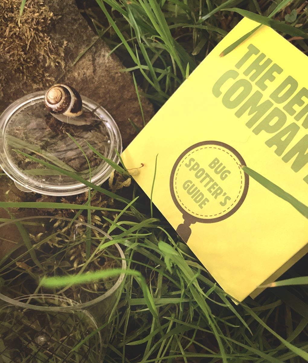 Den Kit Bug Spotter Kit (New Version) - Little Whispers