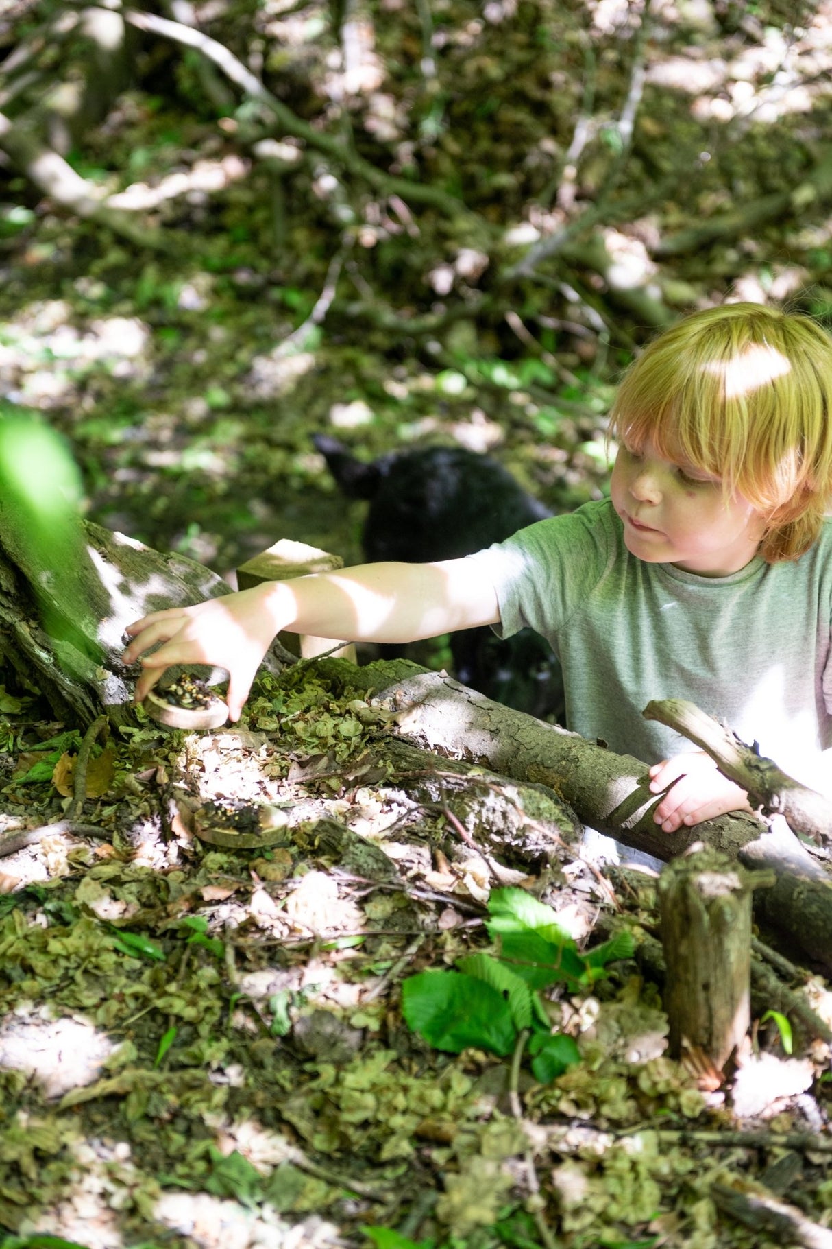 Den Kit Mini Bird Feeding Pizza Kit - Little Whispers