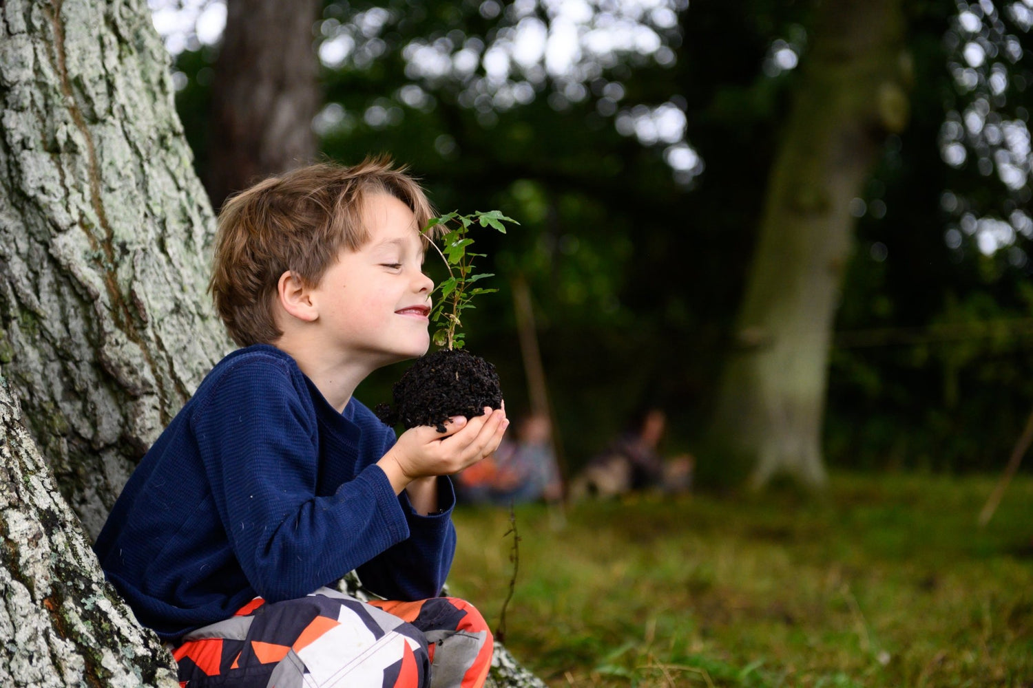 Den Kit Plant A Tree Kit - Little Whispers