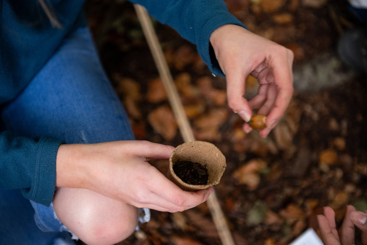 Den Kit Plant A Tree Kit - Little Whispers