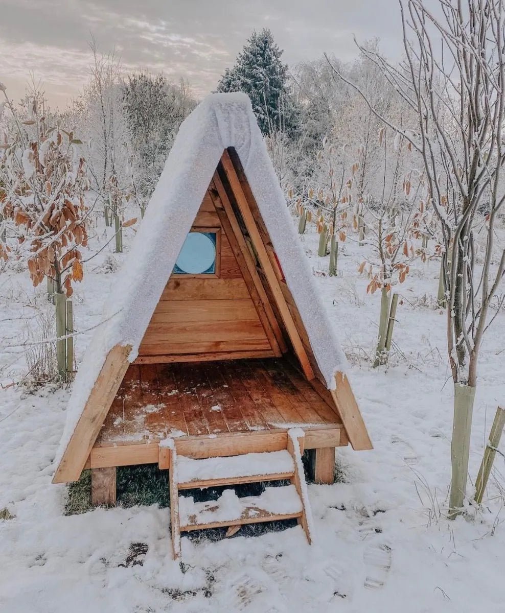 Forest Fern Peephole 35439 (Direct Shipping Item) - Little Whispers