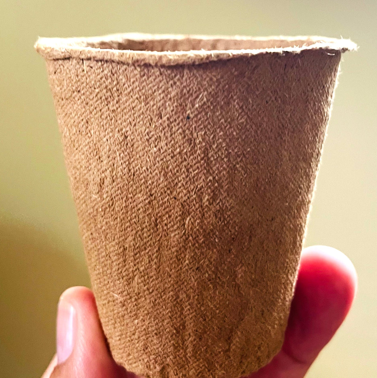 Seed Pops Party Favour Gift