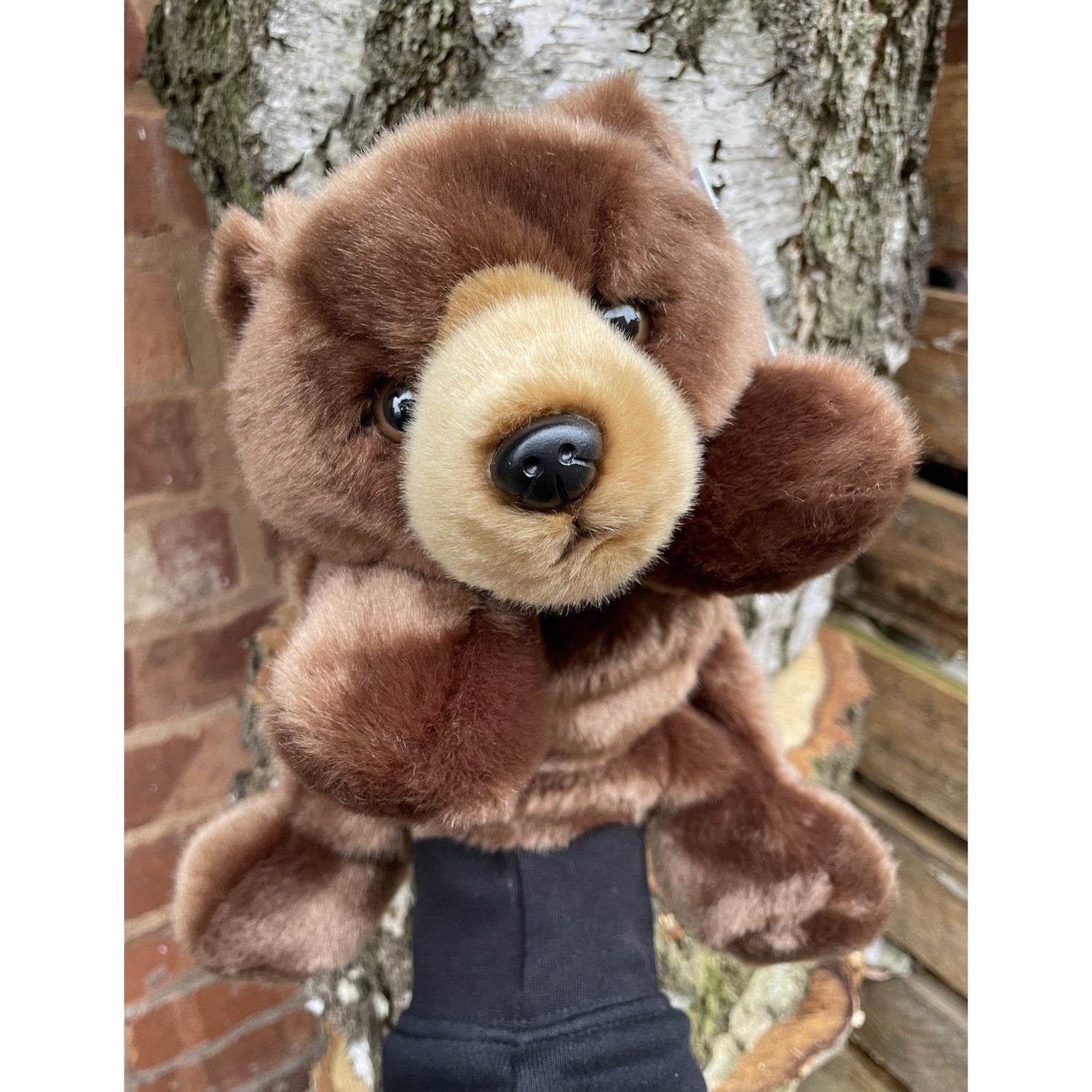 Going on a Bear Hunt Story Sack with Puppet Company Hand Puppet Bear - Little Whispers