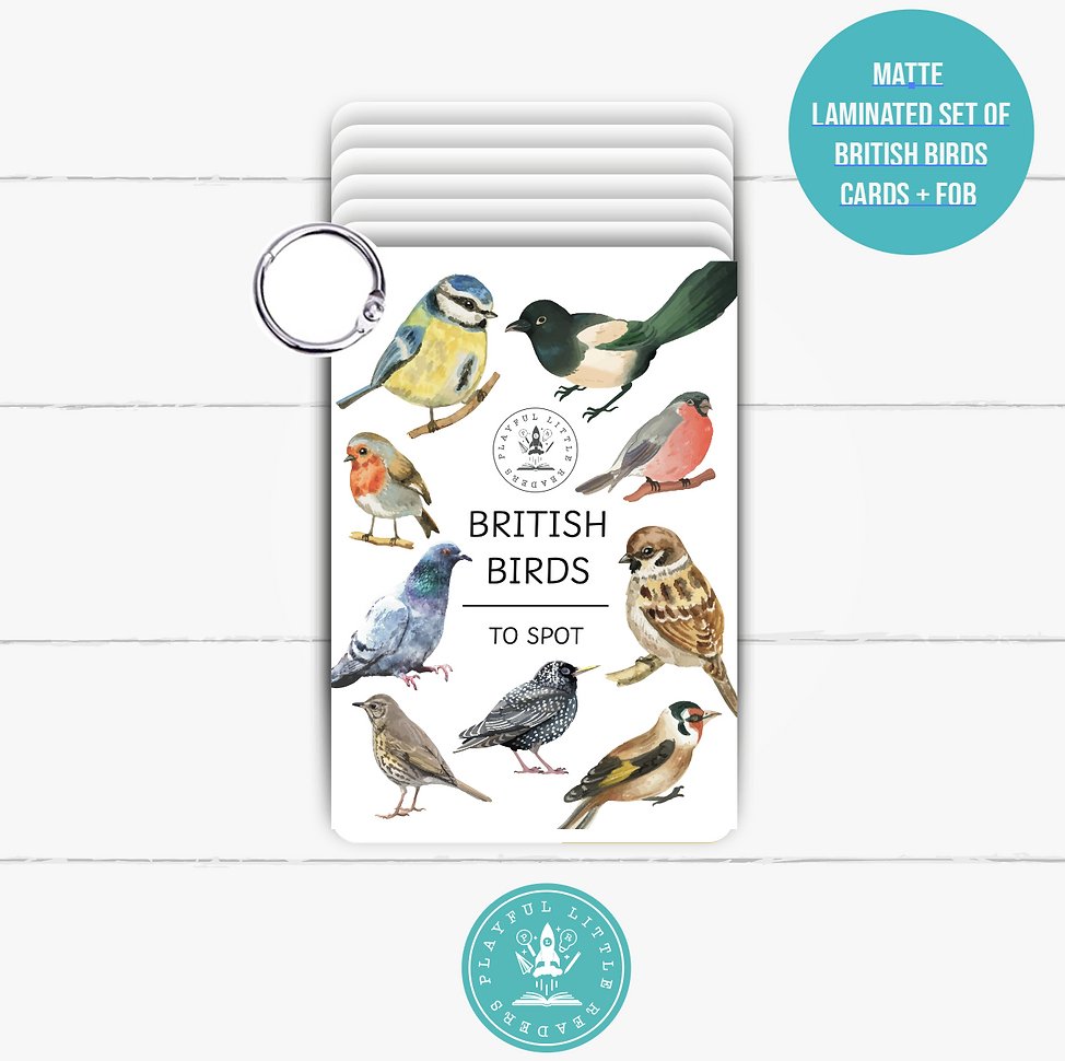 British Birds flashcards PLR - Little Whispers