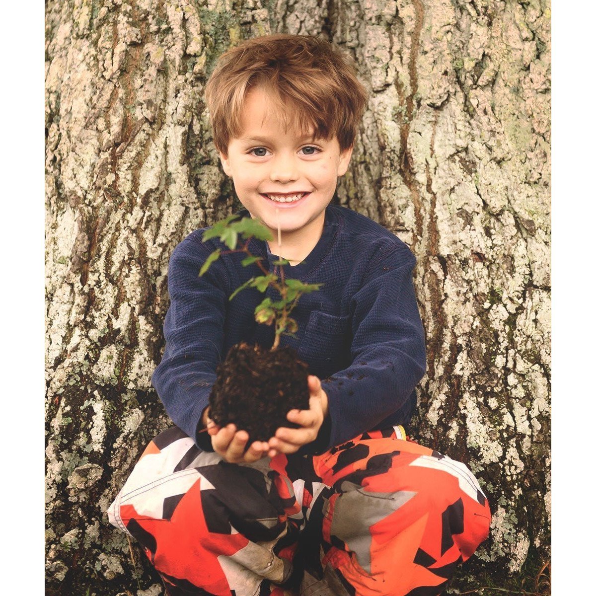 Plant A Tree Kit - Little Whispers