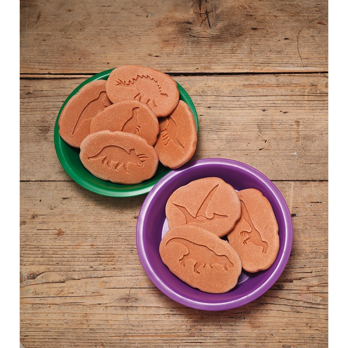 Yellow Door Dinosaur Footprint Stones - Little Whispers