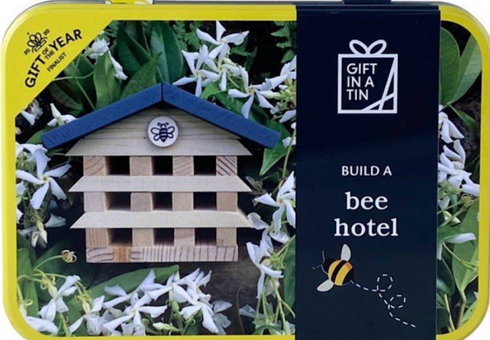 Apples To Pears Gift In A Tin Build A Bee Hotel - Little Whispers