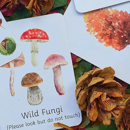 PLR Flash Cards, Autumn Signs - Explorer - Little Whispers