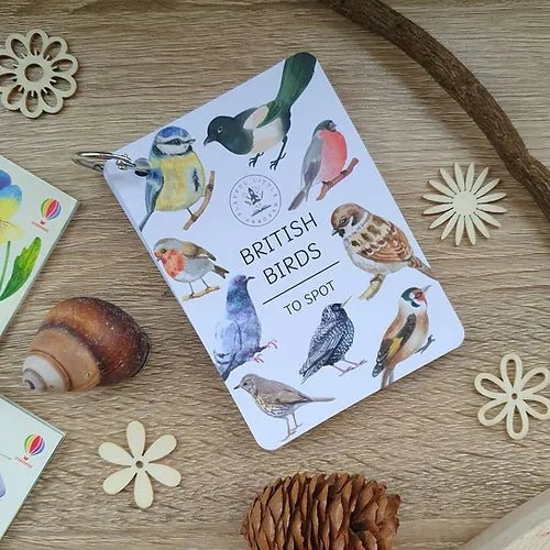 PLR Flash Cards, Garden Birds - Explorer - Little Whispers