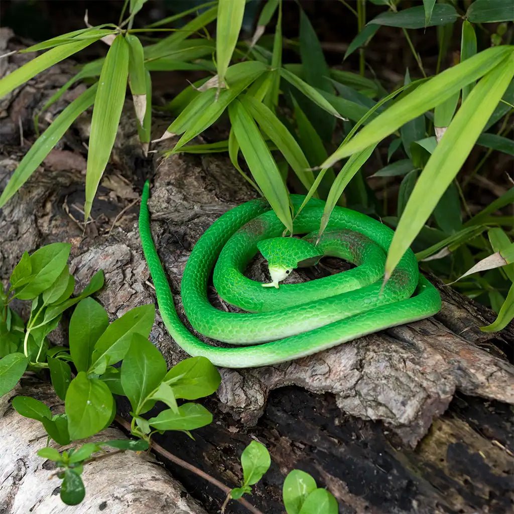 Realistic Rubber Cobra Snake Toy (Coming Soon) - Little Whispers