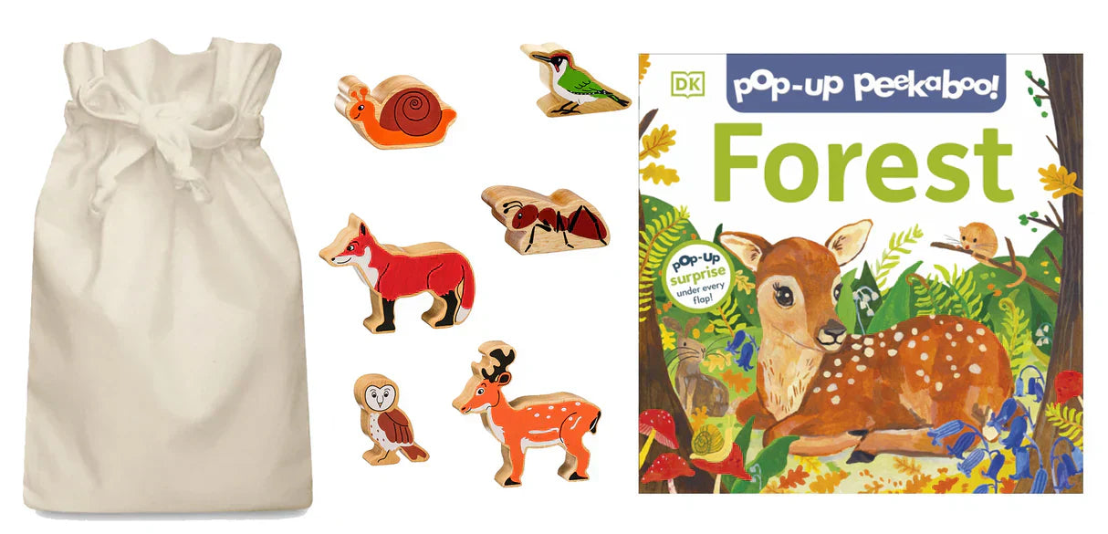 🌟 The Importance of Imaginative Play Through Story Sacks