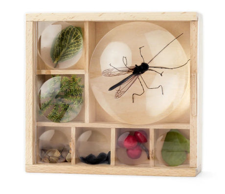 Huckleberry Outdoor Toys - Little Whispers