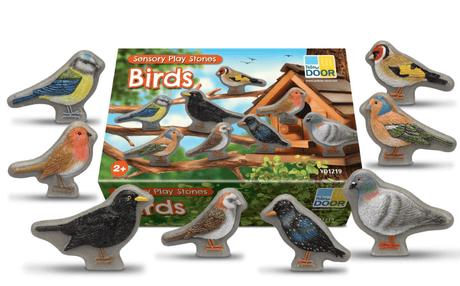 Nature Bird Kit Set - Little Whispers