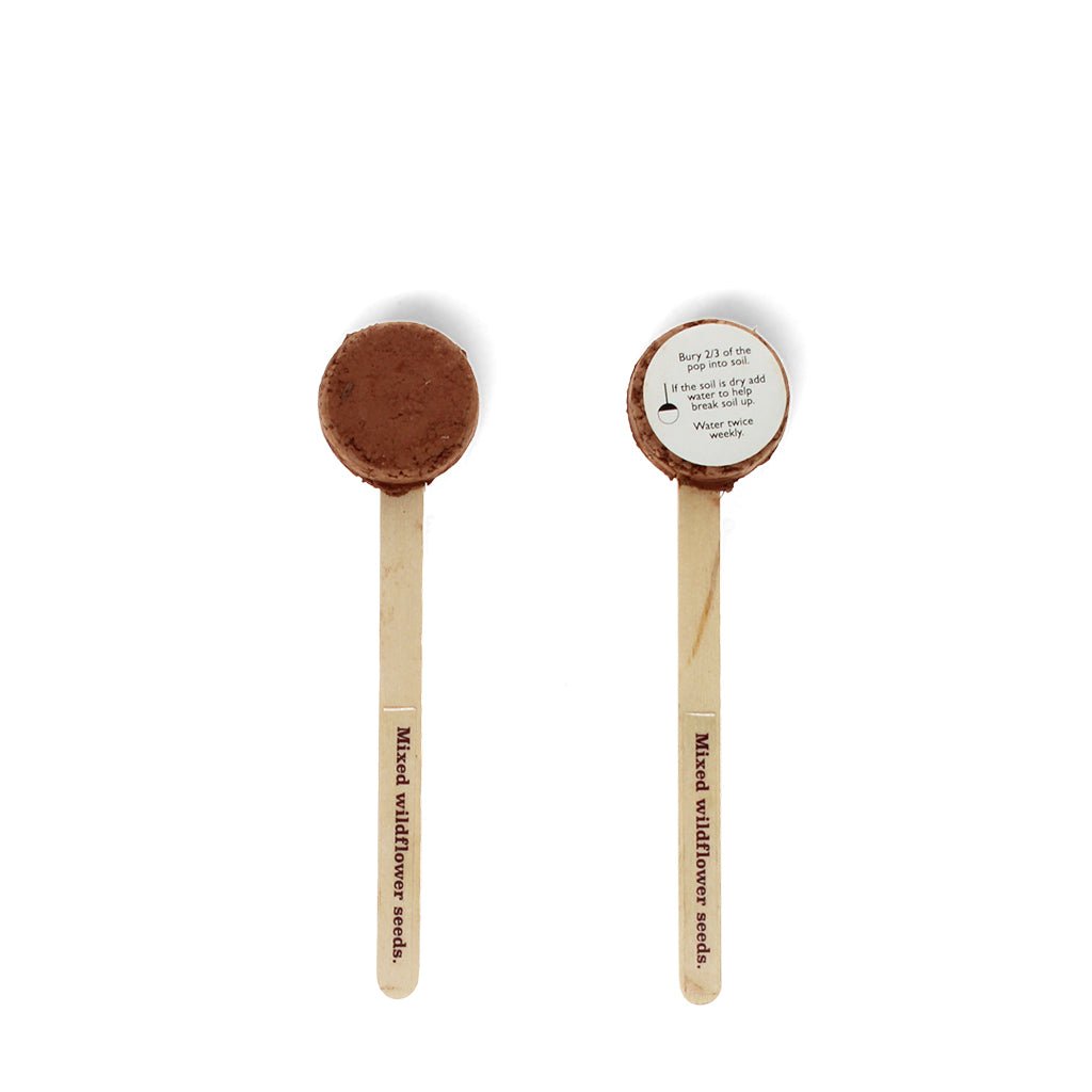 Wildflower Seed Popsicles - Wildflower Seed Pops - Little Whispers