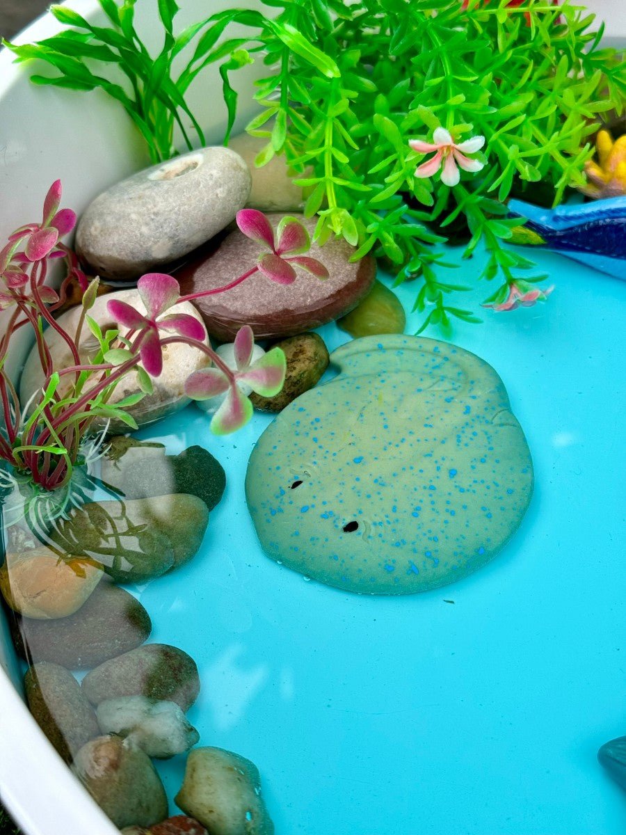 Yellow Door Fish Sensory Play Stones - Little Whispers