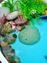 Yellow Door Fish Sensory Play Stones - Little Whispers