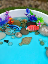 Yellow Door Fish Sensory Play Stones - Little Whispers