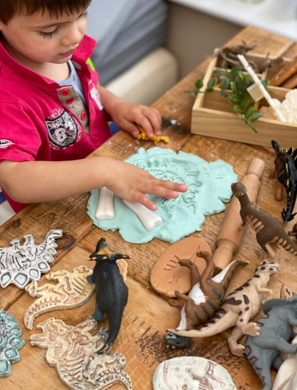 Yellow Door Dinosaur Footprint Stones