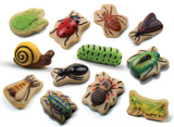 Yellow Door Bugs Sensory Play Stones