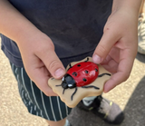 Yellow Door Bugs Sensory Play Stones ladybird