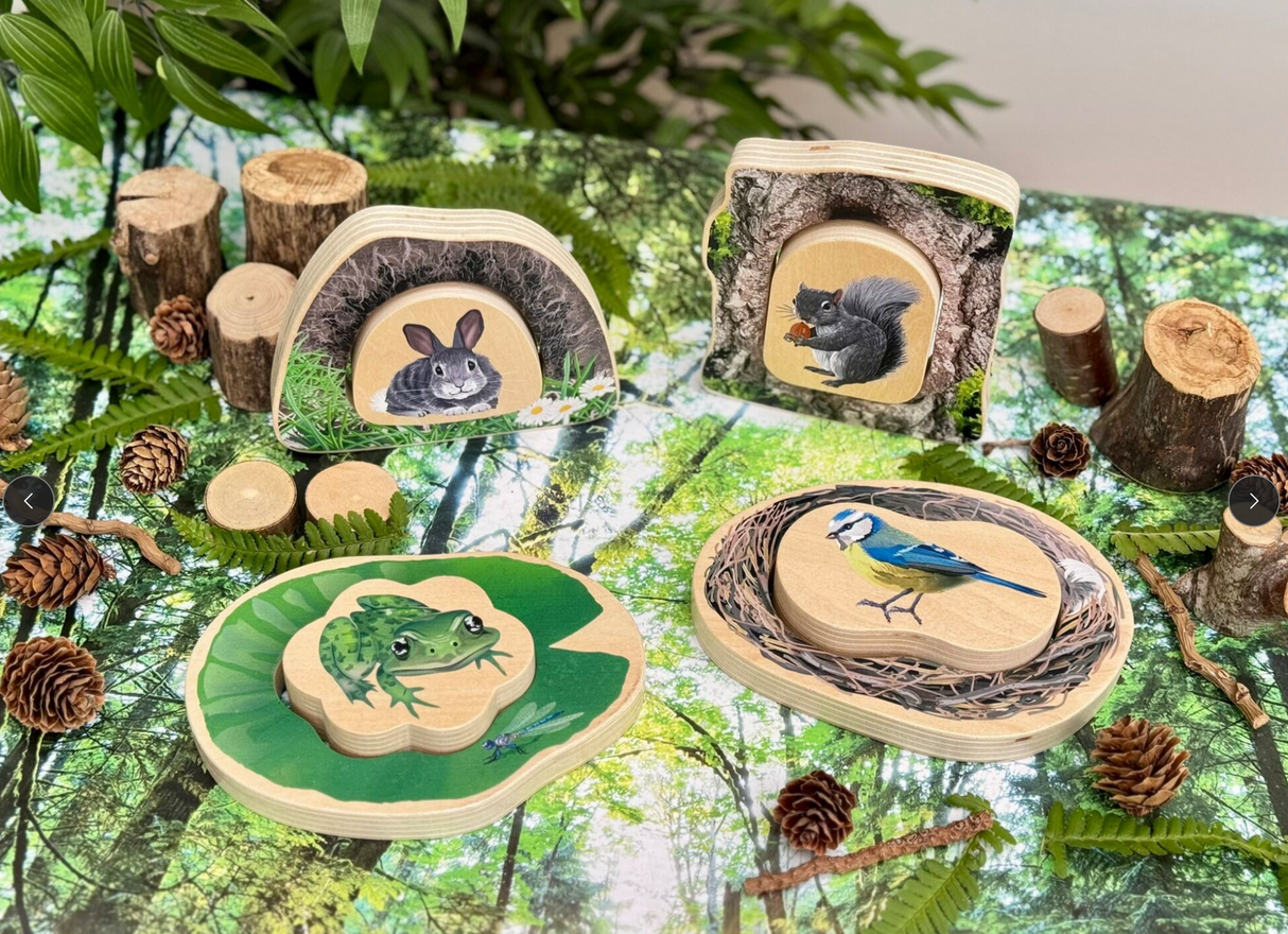 Yellow Door Who’s Hiding? Woodland Animals