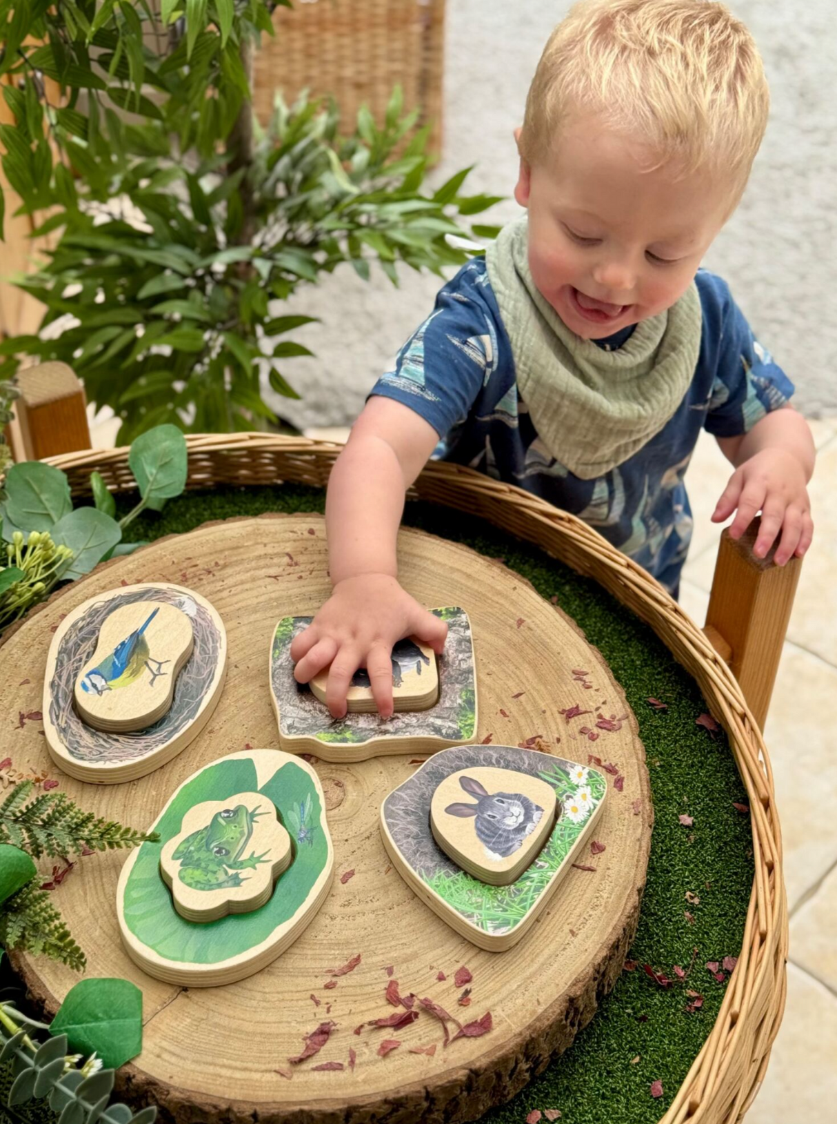 Yellow Door Who’s Hiding? Woodland Animals