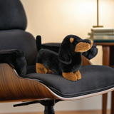 Koda Dachshund Luxury Plush on a chair