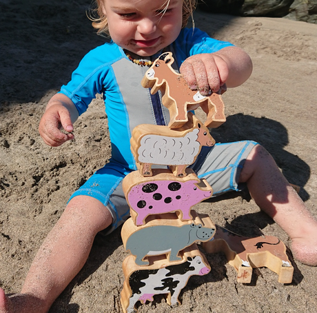 Lanka Kade animals being stacked