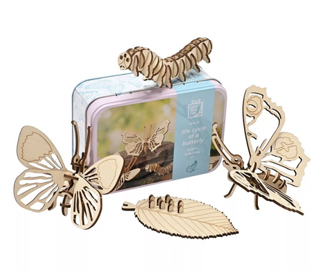 Apples To Pears Gift In A Tin Life Cycle of A Butterfly