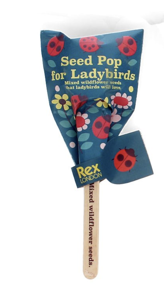 Seed Pop for Ladybirds - Wildflower Seed Pop x 1
